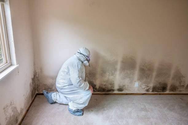 Best Air Quality Testing for Mold Spores  in Lawtey, FL